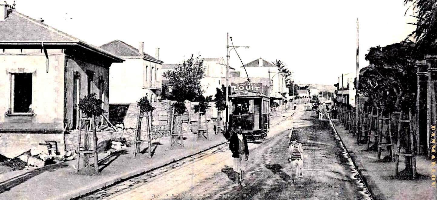 3084- Oran - Route de Gambetta2 - 1905.jpg